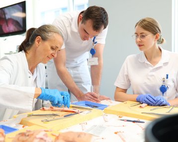 Eine Lehrerin demonstriert chirurgische Techniken an einem Modell, während zwei Schüler aufmerksam zuschauen. Auf dem Tisch liegen anatomische Modelle und chirurgische Werkzeuge. Der Raum ist hell und modern gestaltet.