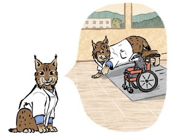 Ein Luchs in einem weißen Kittel sitzt lächelnd, während ein anderer Luchs auf einem Rollstuhl sitzt und mit einem anderen Tier interagiert.