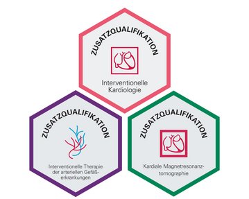 Drei sechseckige Symbole mit dem Titel "Zusatzqualifikation". Die Themen umfassen: Interventionelle Kardiologie, Interventionelle Therapie der arteriellen Erkrankungen und Kardiale Magnetresonanztomographie. Jedes Symbol zeigt ein entsprechendes grafisches Element.
