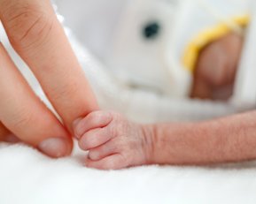 Ein zartes Babyhändchen greift nach dem Finger eines Erwachsenen, während es auf einer weichen Unterlage liegt.