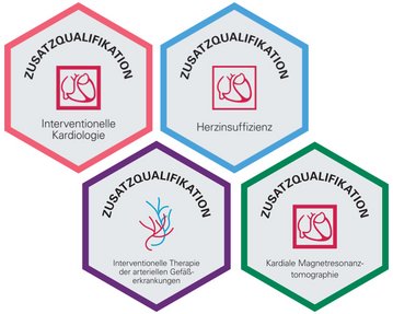 Vier hexagonale Symbole mit dem Titel "Zusatzqualifikation", die verschiedene medizinische Fachgebiete darstellen: Interventionelle Kardiologie, Herzinsuffizienz, interventionelle Therapie der arteriellen Gefäßerkrankungen und kardiale Magnetresonanztomographie.