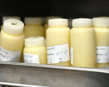 Flasche mit gelblichem Inhalt in einem Behälter, etikettiert mit Haltbarkeitsdatum 22.07.25. Mehrere Flaschen sind sichtbar.